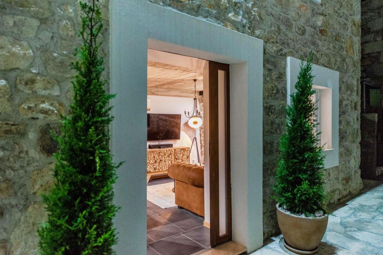 Villa Planita Dalmacija Novigrad  Buitenkant foto
