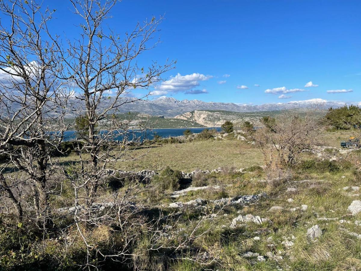 Villa Planita Dalmacija Novigrad  Buitenkant foto